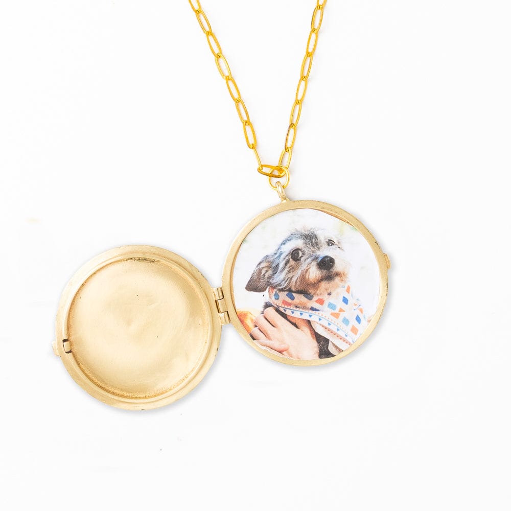 Virginia Locket Necklace On Paperclip Chain Brass - Ink + Alloy