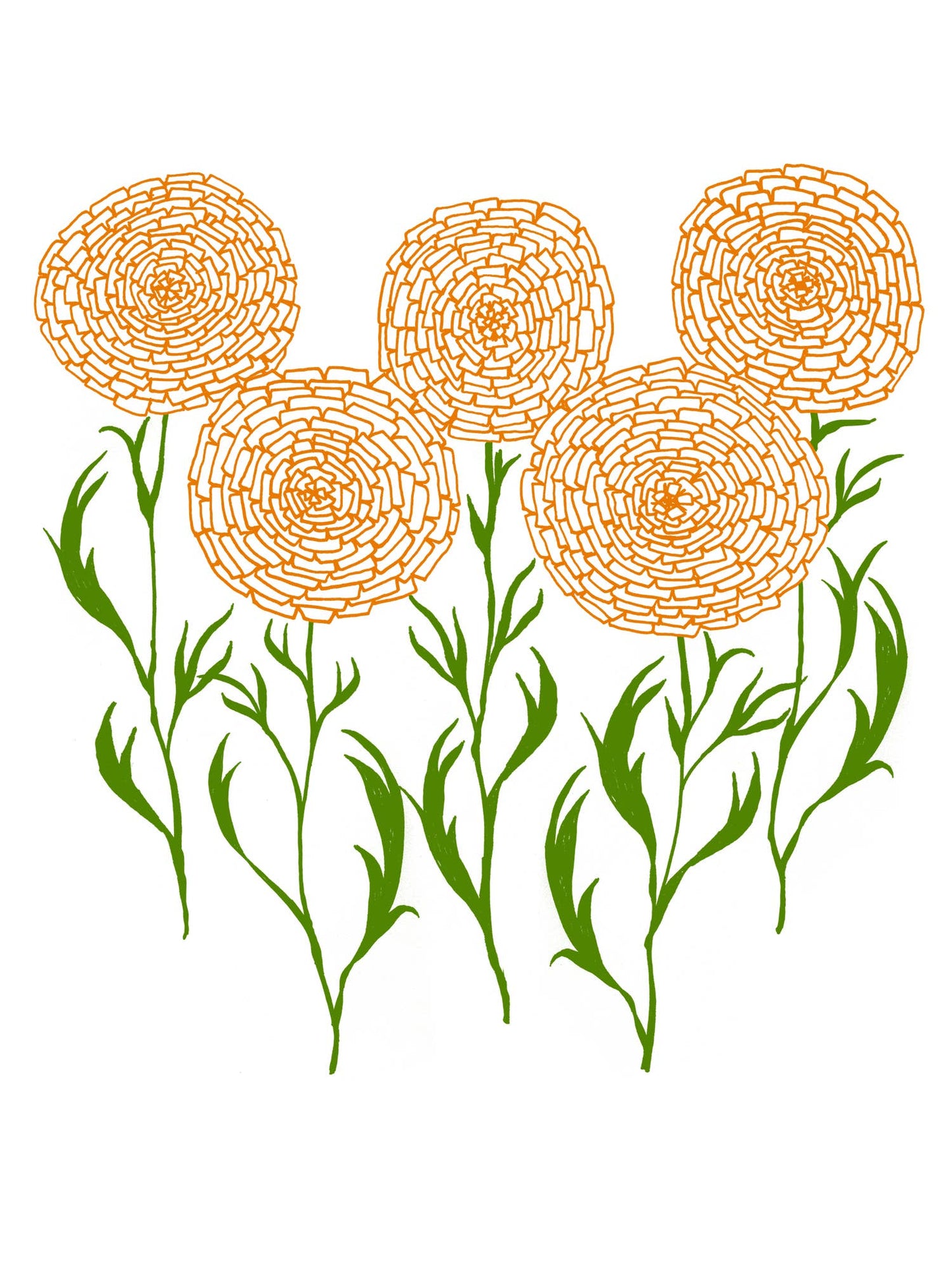 Marigolds Vera Vee