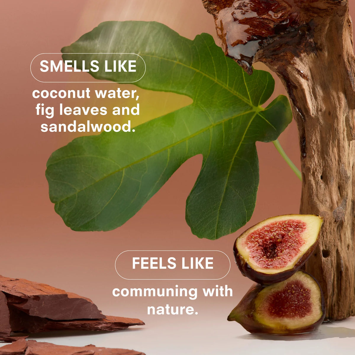 Woodphoria: Travel Eau de Parfume & Fine Fragrance