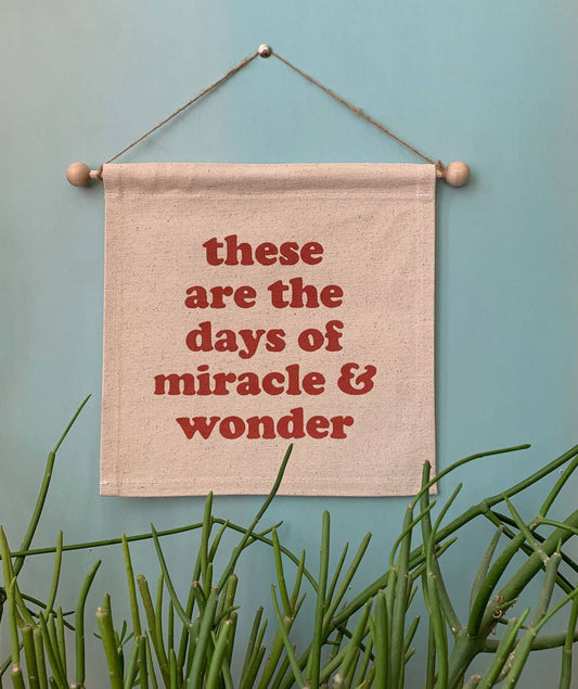Miracle And Wonder - Small Banner - MBMB