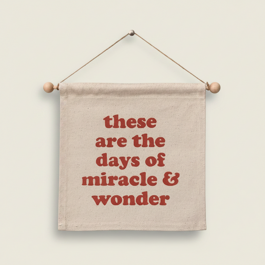 Miracle And Wonder - Small Banner - MBMB