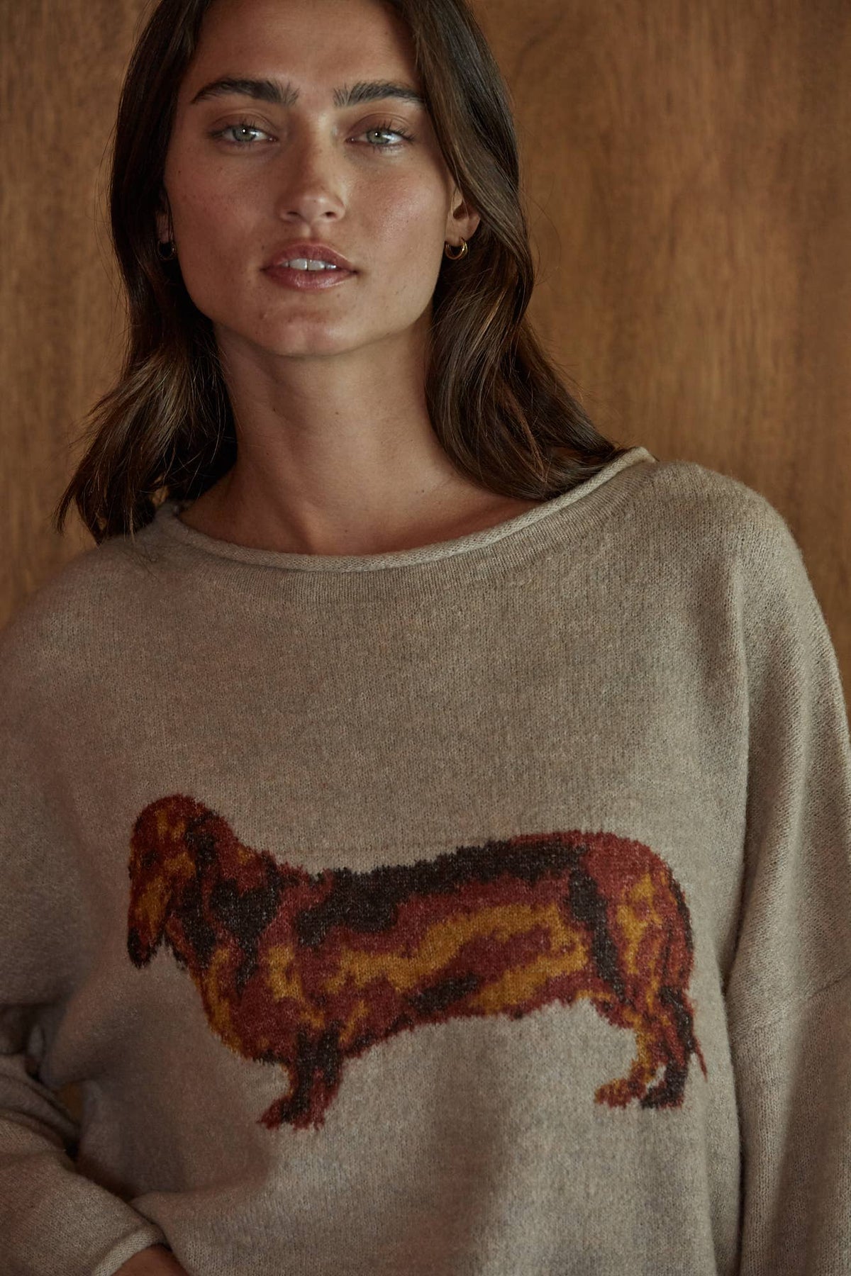 Peanut Dachshund Sweater