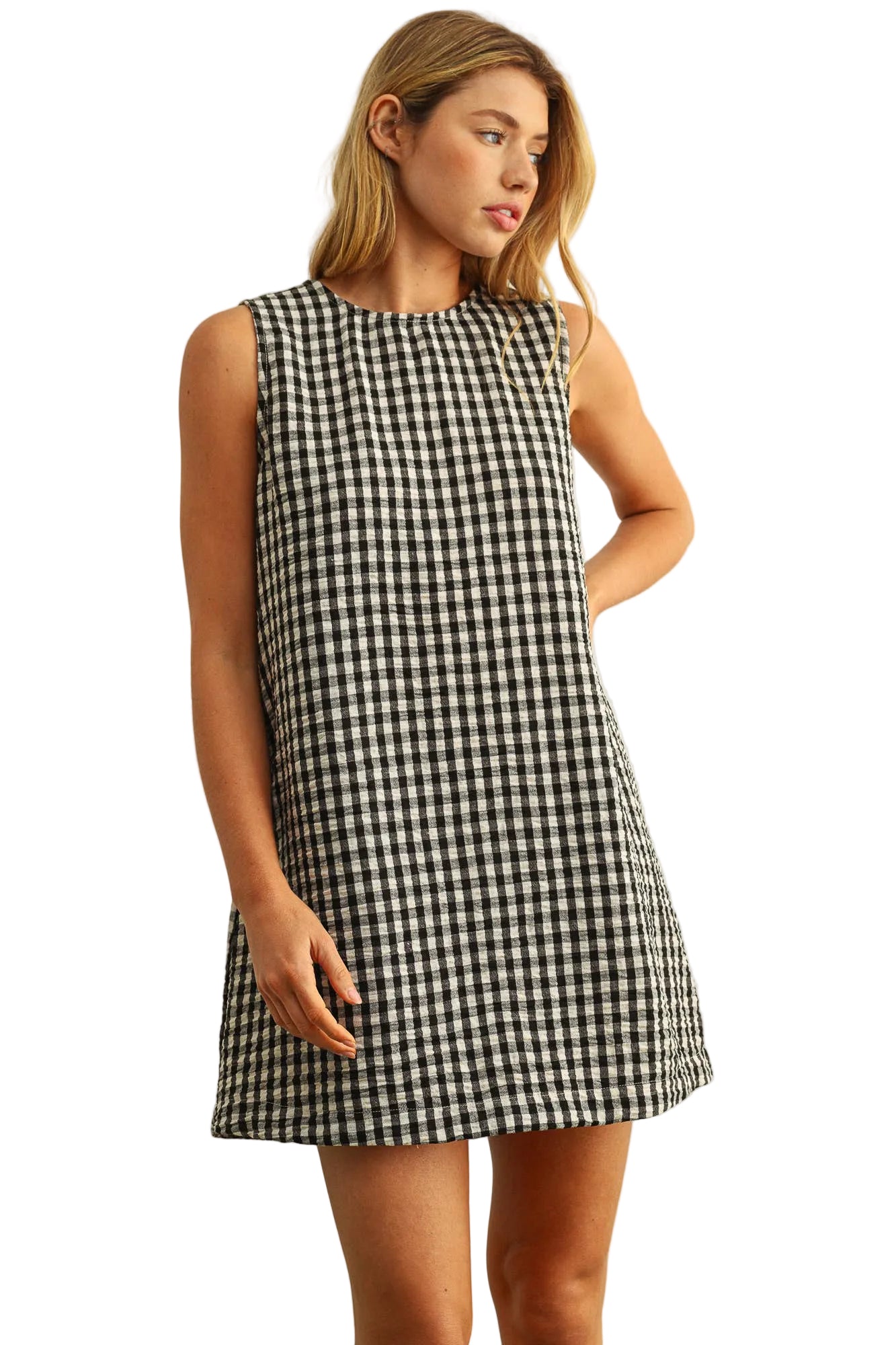 Stella Black & White Gingham Dress