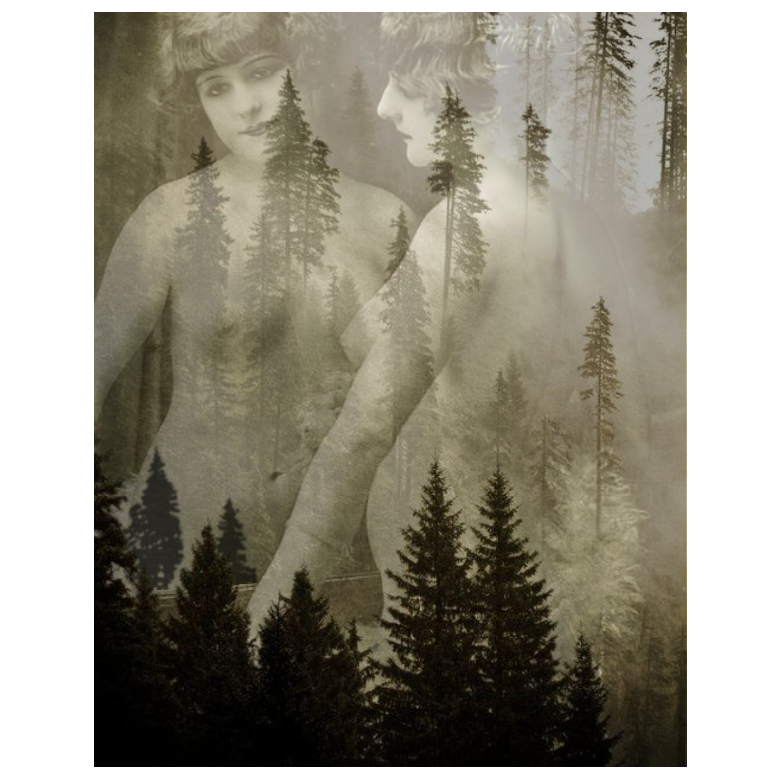 A collage artwork featuring a vintage photograph of a woman gazing into a mirror with a background of misty pine trees and glowing greens, creating a surreal and dreamlike atmosphere.