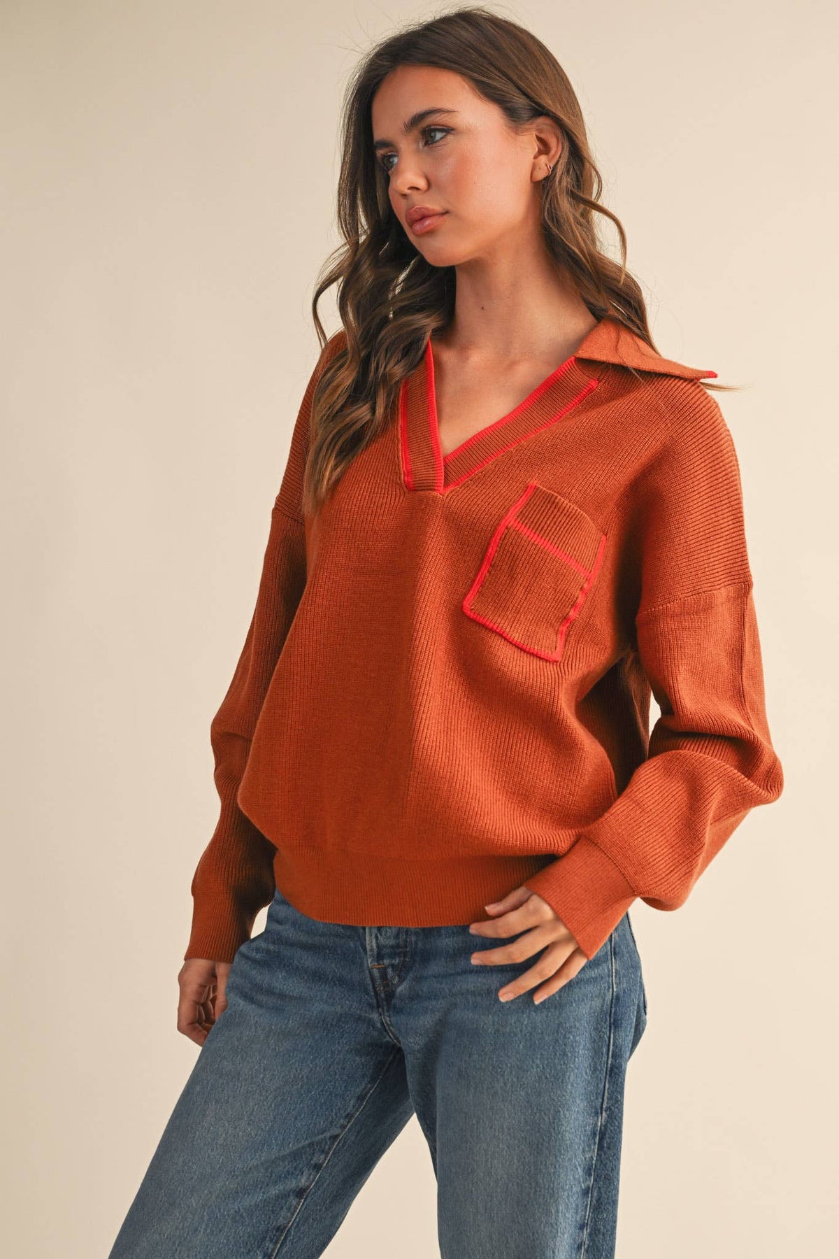 Contrast Color Ribbed Collar Sweater
