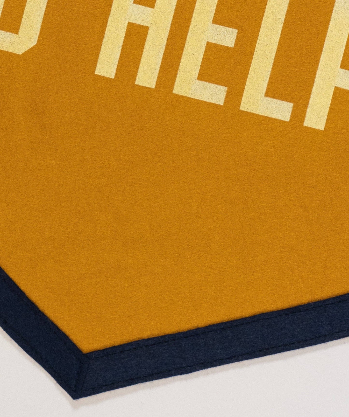 What’ve I Done To Help Camp Flag • Jason Isbell x Oxford Pennant