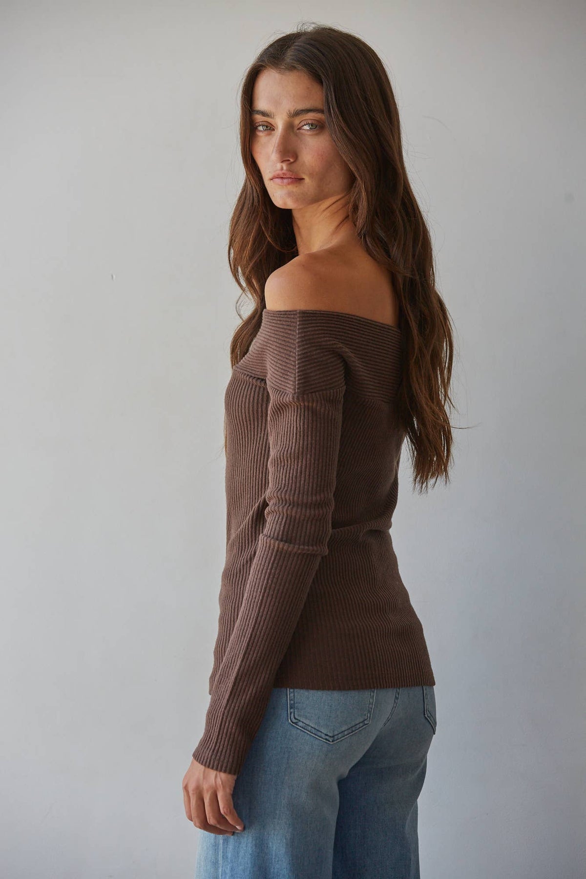 Brown Off Shoulder Long Sleeve Top