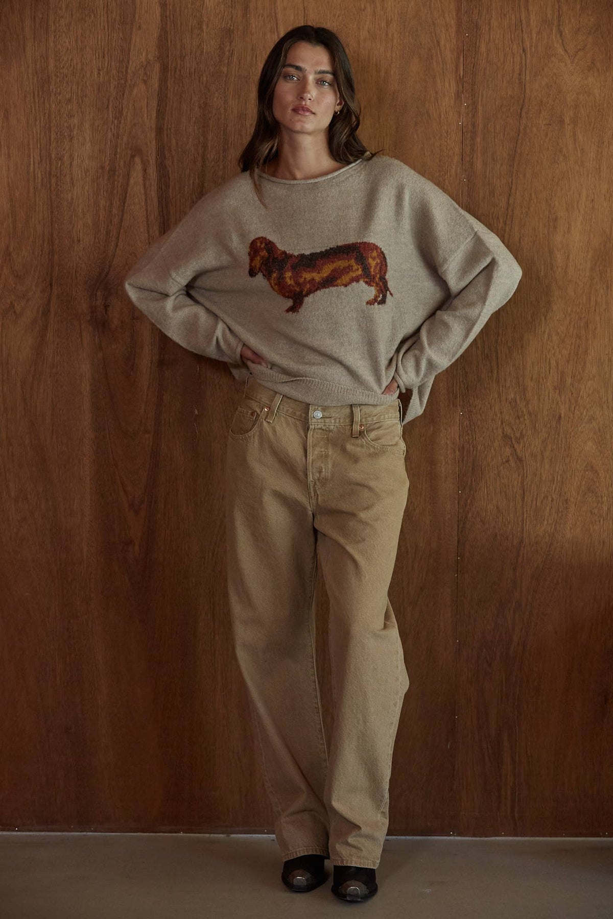 Peanut Dachshund Sweater