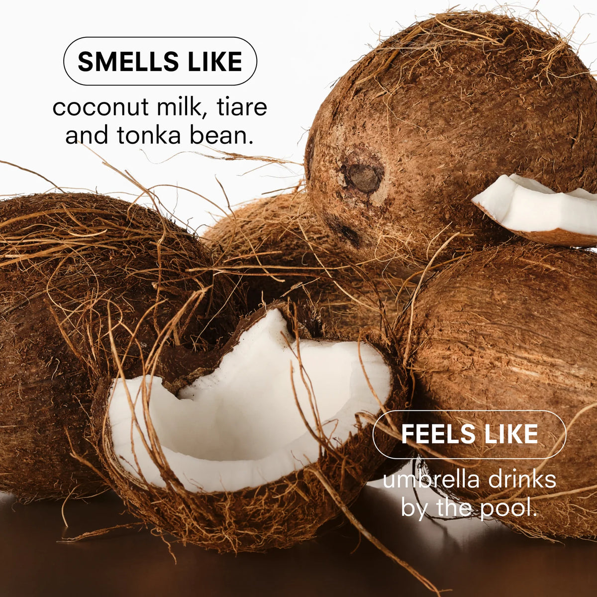 Coco Cream: 8.5oz Scented Candle
