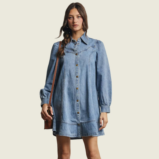 Western Seam Denim Mini Dress
