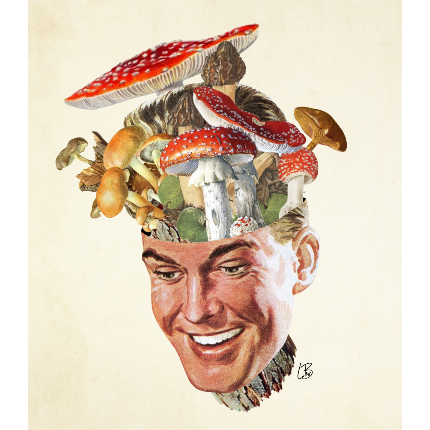 Fun-Guy Print